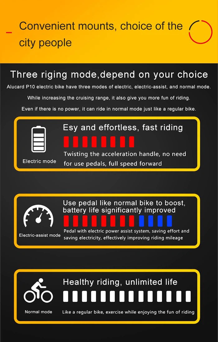 Electrify E-Bike 350W Lithium