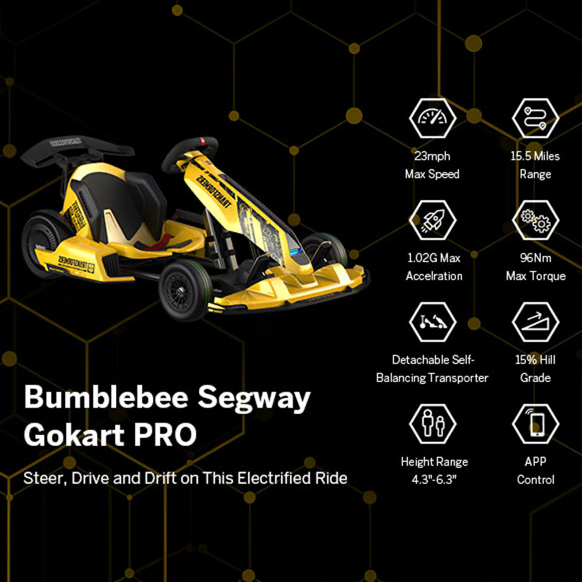 Dr. Tech Puerto Rico - Segway Go Kart Pro BumbleBee