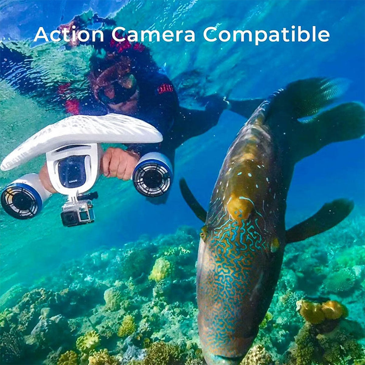 Dr. Tech Puerto Rico - WhiteShark Mix